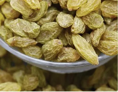 تصویر 4 از کشمش سبز قلمی نرم و آبدار با کیفیت بالا